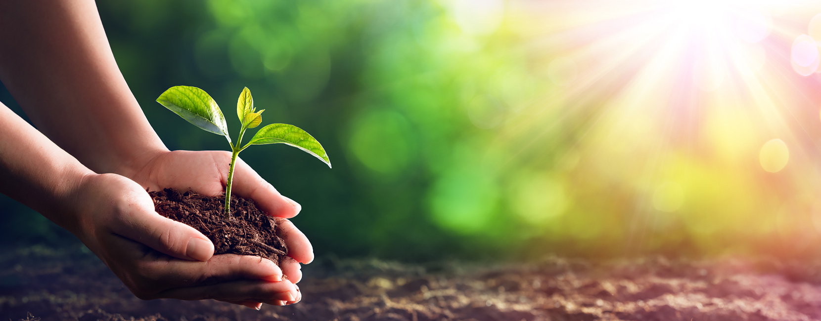 AGGAME��(�й���)���Źٷ���վ